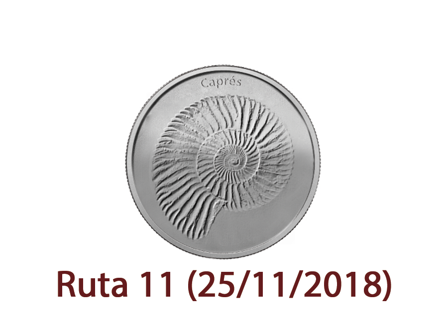 Ruta 11 (25/11/2018)