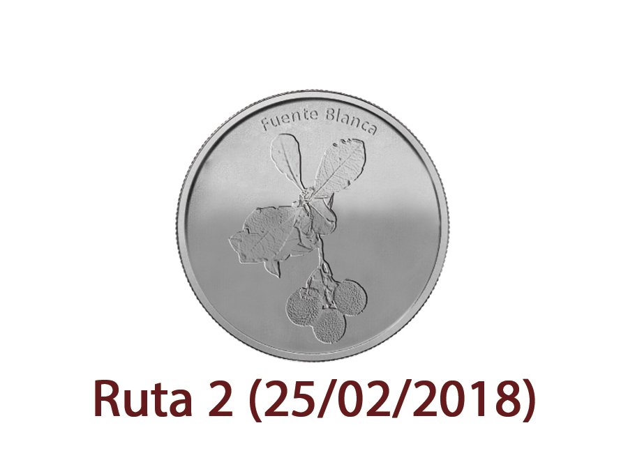 Ruta 2 (25/02/2018)