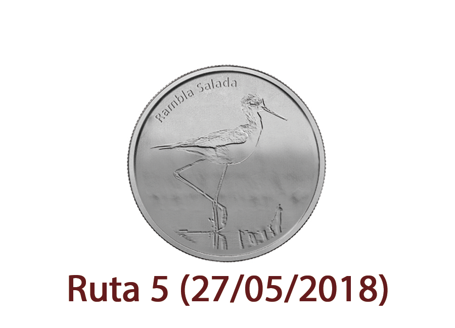 Ruta 5 (27/05/2018)