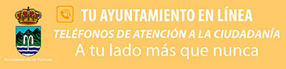 TU AYUNTAMIENTO EN LINEA