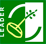 PROYECTO LEADER